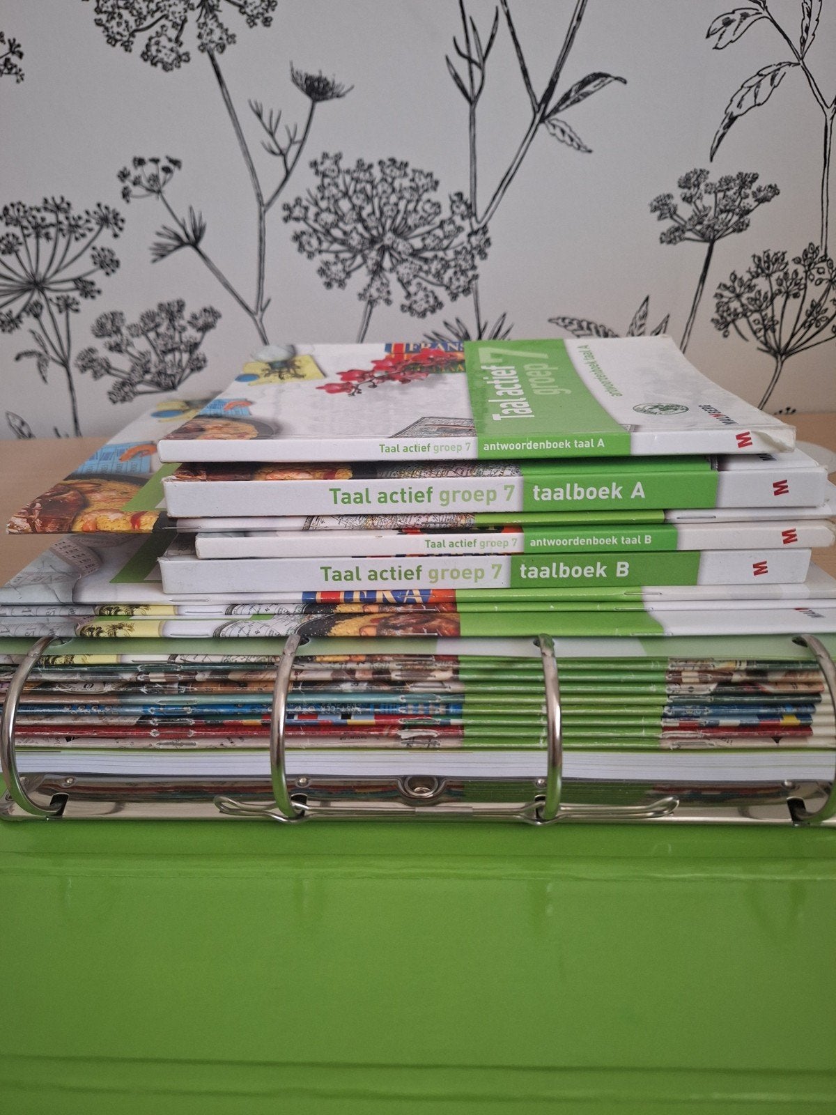 Taal actief groep 7 - Complete set schoolboeken, Ophalen of Verzenden, Gelezen, Overige niveaus, Nederlands