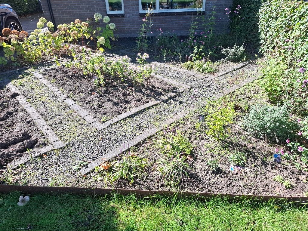 vaste planten en heesters, Tuin en Terras, Vaste plant, Halfschaduw, Zomer, Ophalen