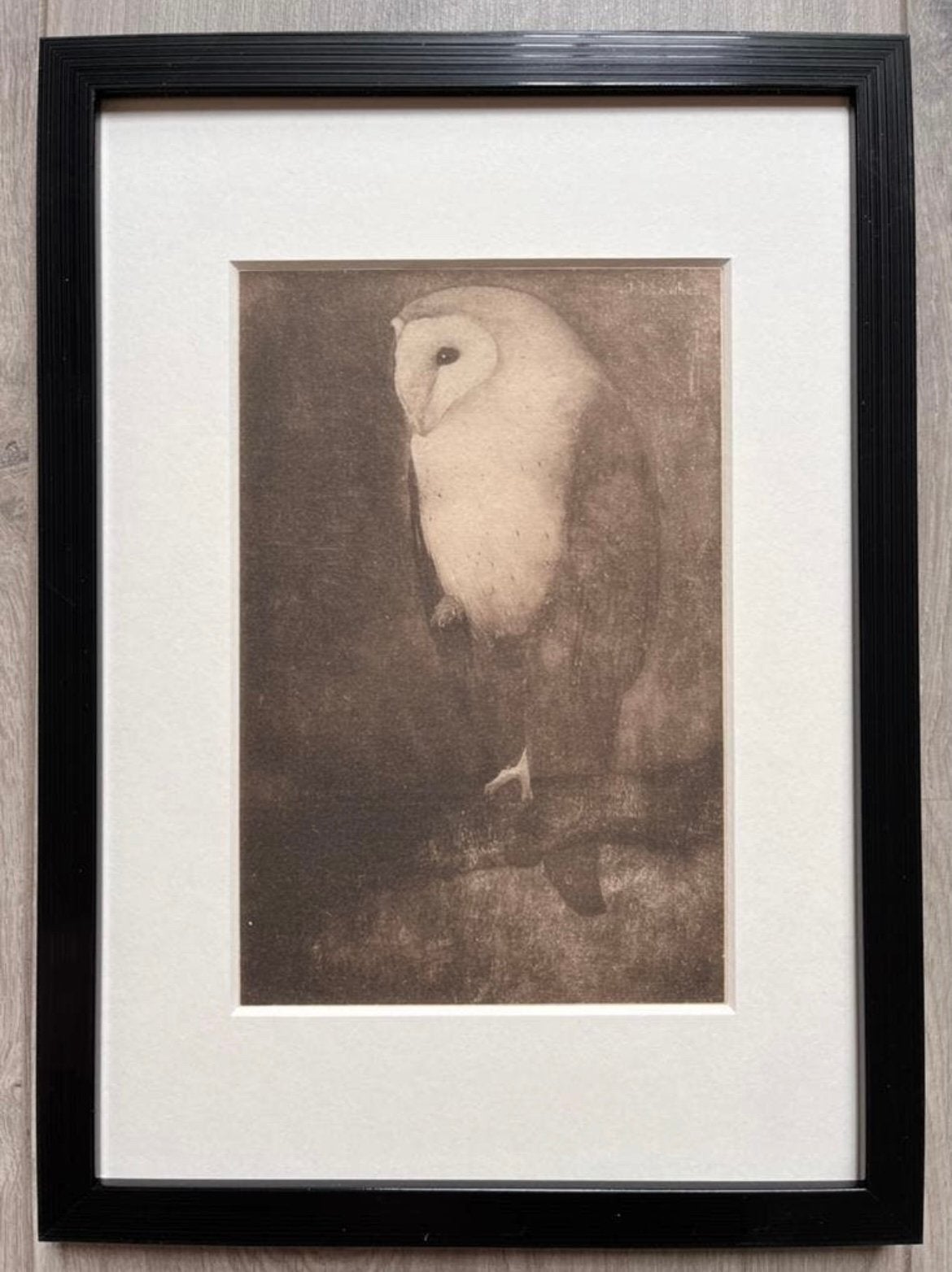 Jan Mankes 1889-1920 / Heliogravure Uil op Boomtak 1927, Antiek en Kunst, Ingelijst, 23 cm, Ophalen of Verzenden, Gravure