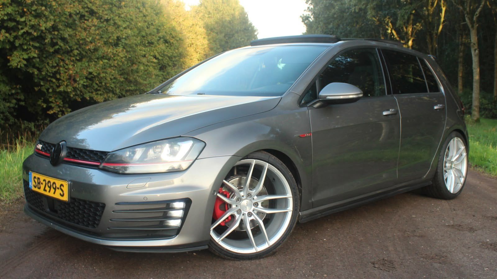 Volkswagen Golf 2.0 GTI 162KW 5D DSG Grijs, 4 cilinders, 1984 cc, 690 kg, 220 pk