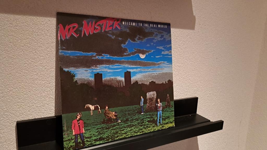 Mr. Mister, Ophalen of Verzenden