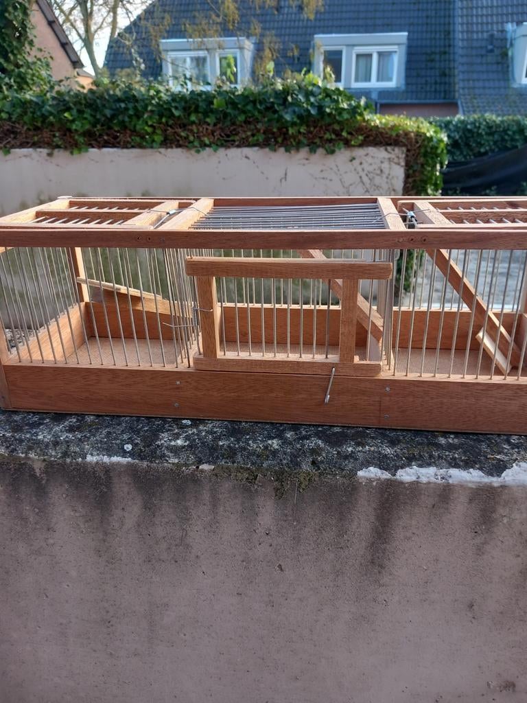 vangkooien in 3 modellen, Dieren en Toebehoren, Vogels | Hokken en Kooien, Ophalen of Verzenden, Nieuw, Hout, Vogelkooi
