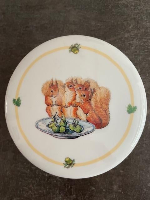 Beatrix Potter Blik Blikje Bakje, Eekhoorn, Kunststof, Nieuw, Ophalen of Verzenden, Nieuw, Dier