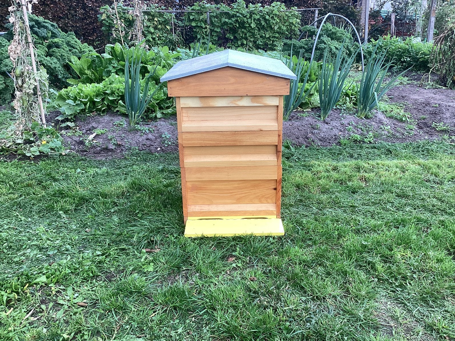 Bijenkast Beefun Easy Grip Bijen, Bijen
