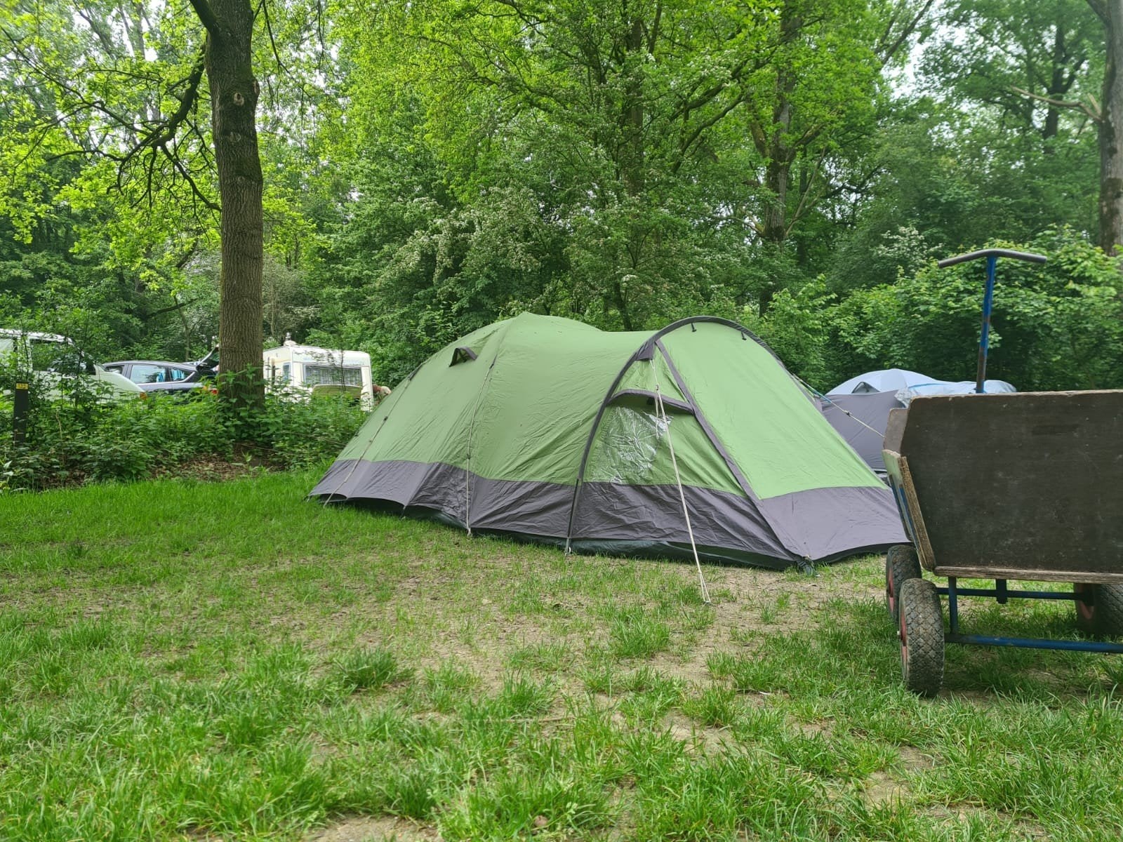 Ruime koepeltent voor 3-4 personen - Wildebeast, Ophalen, Zo goed als nieuw, Tot en met 4