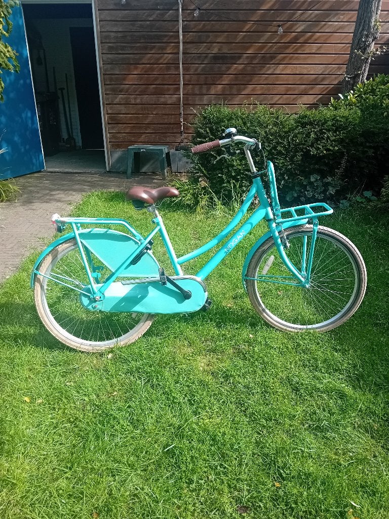 24 inch meisjesfiets, Ophalen, Terugtraprem, Handrem, Nogan