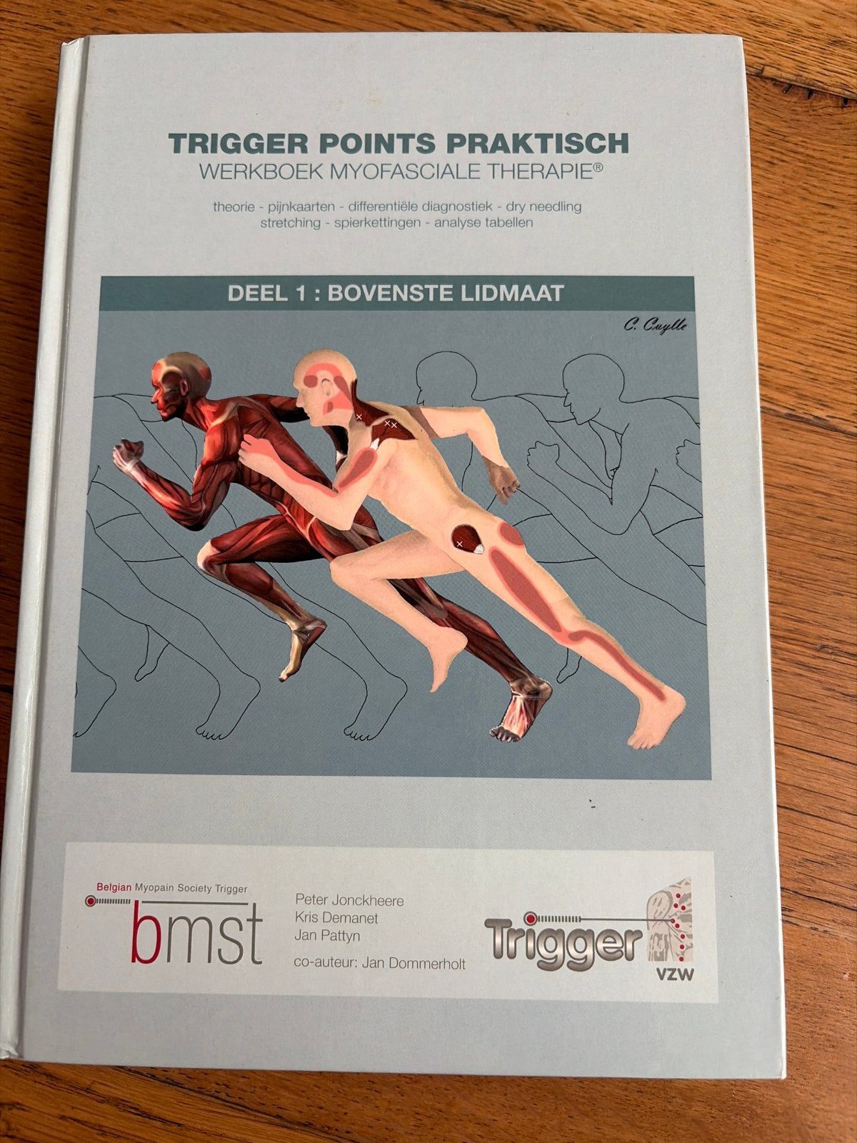 Trigger Points Praktisch Werkboek Myofasciale Therapie, Ophalen of Verzenden, Beta, Zo goed als nieuw, HBO