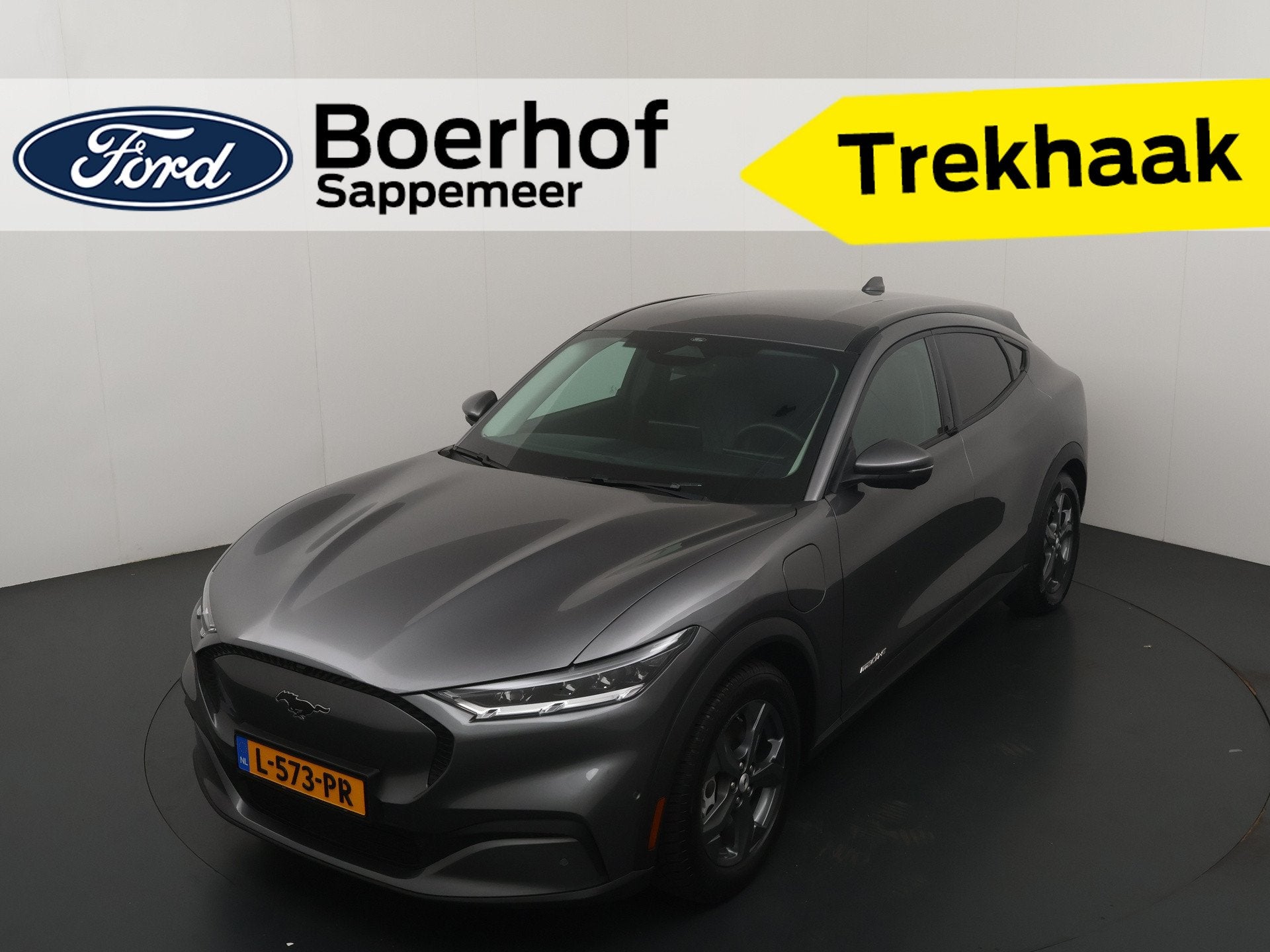 Ford Mustang Mach-E RWD 75 kWh 258 pk | Trekhaak | B&O | All