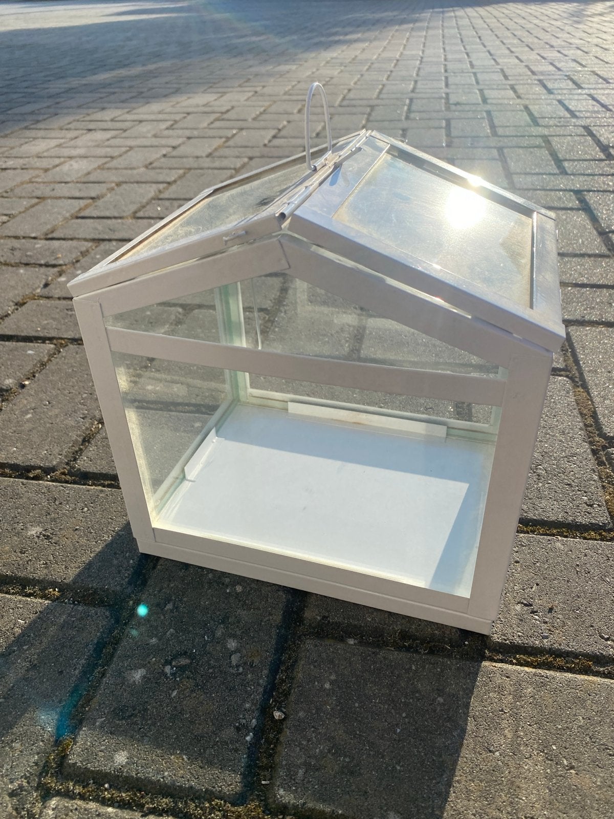Decoratieve mini kweekkas - wit frame, glazen panelen, Tuin en Terras, Ophalen, Overige materialen, Gebruikt, Kweekkas