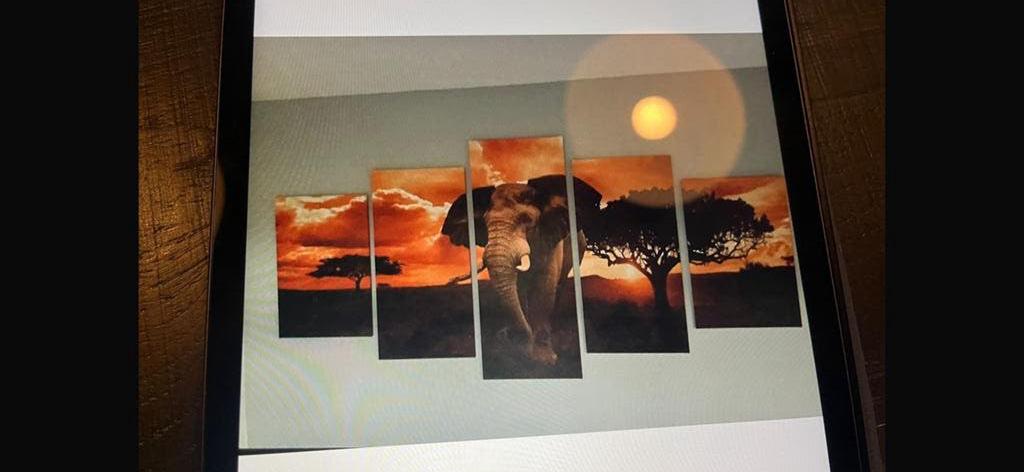 5-delig canvas schilderij olifant zonsondergang, 50 tot 75 cm, 125 cm of meer, Ophalen of Verzenden, Zo goed als nieuw