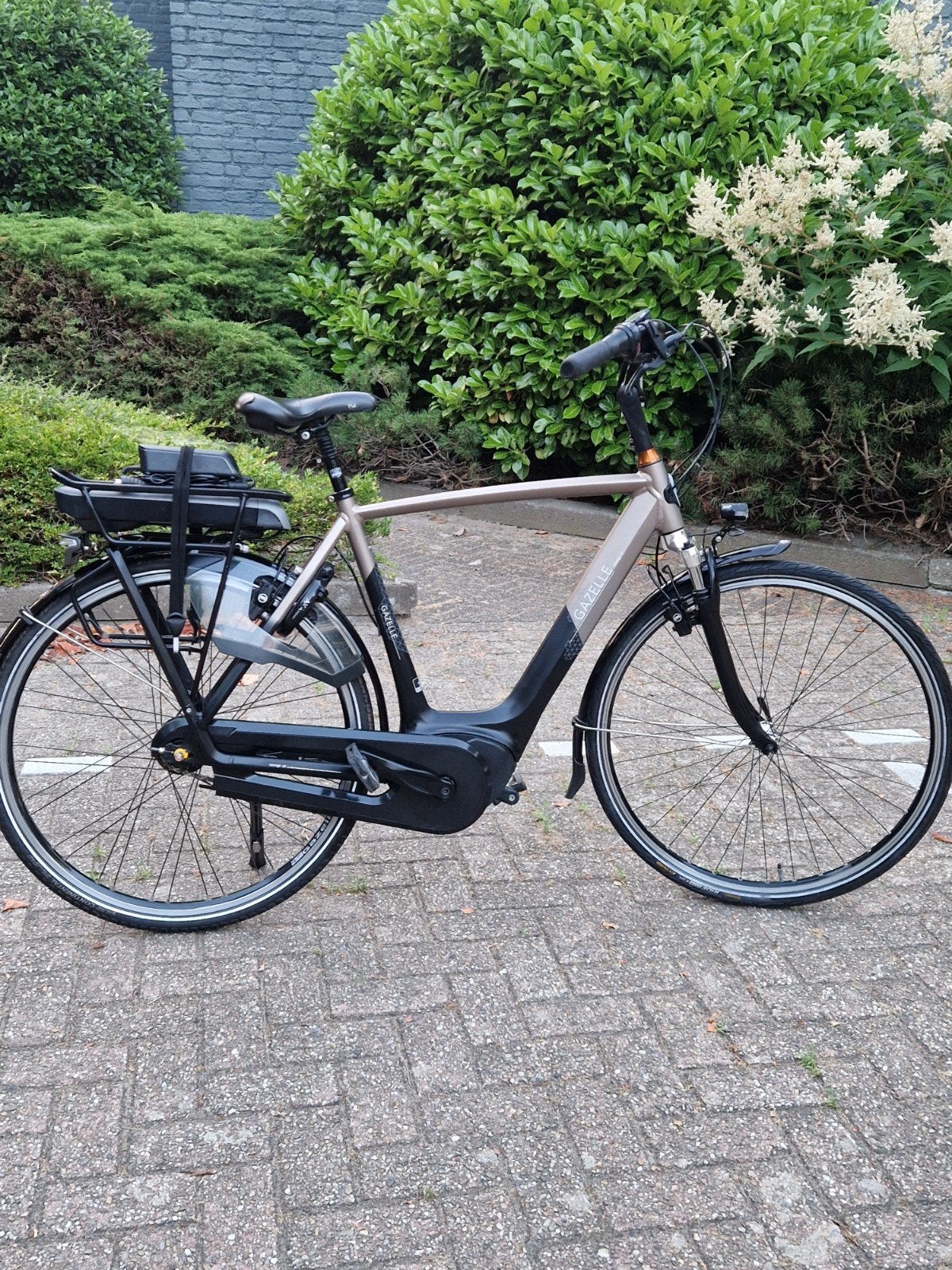 Gazelle Orange C7+ middenmotor bosch active line plus, Ophalen, Zo goed als nieuw, 50 km per accu of meer, 55 tot 59 cm