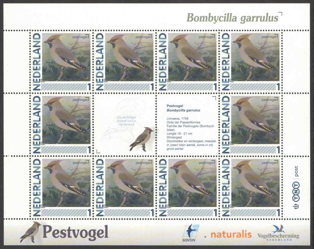 Postzegels Vogels in Nederland: Pestvogel, Postzegels en Munten, Postzegels | Nederland, Ophalen of Verzenden, Na 1940, Postfris