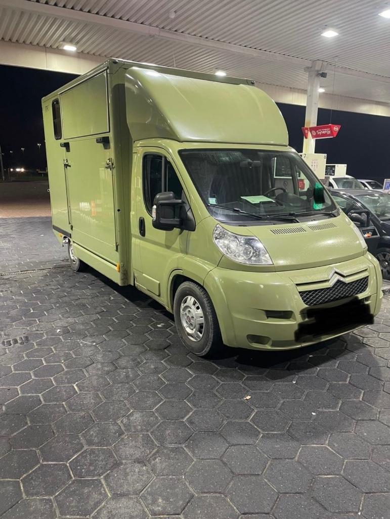 Gezocht Paardenvrachtwagen Paardenwagen B rijbewijs trailer, Verzenden, Gebruikt, Overige typen