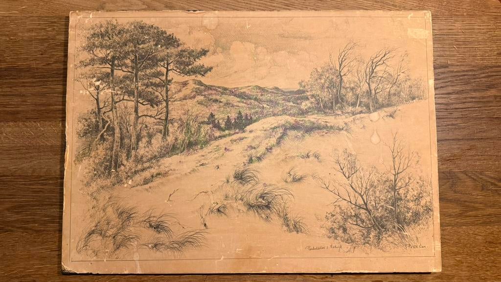 Peter Cox Parlevlietbos Katwijk schets, Antiek en Kunst, Ophalen of Verzenden