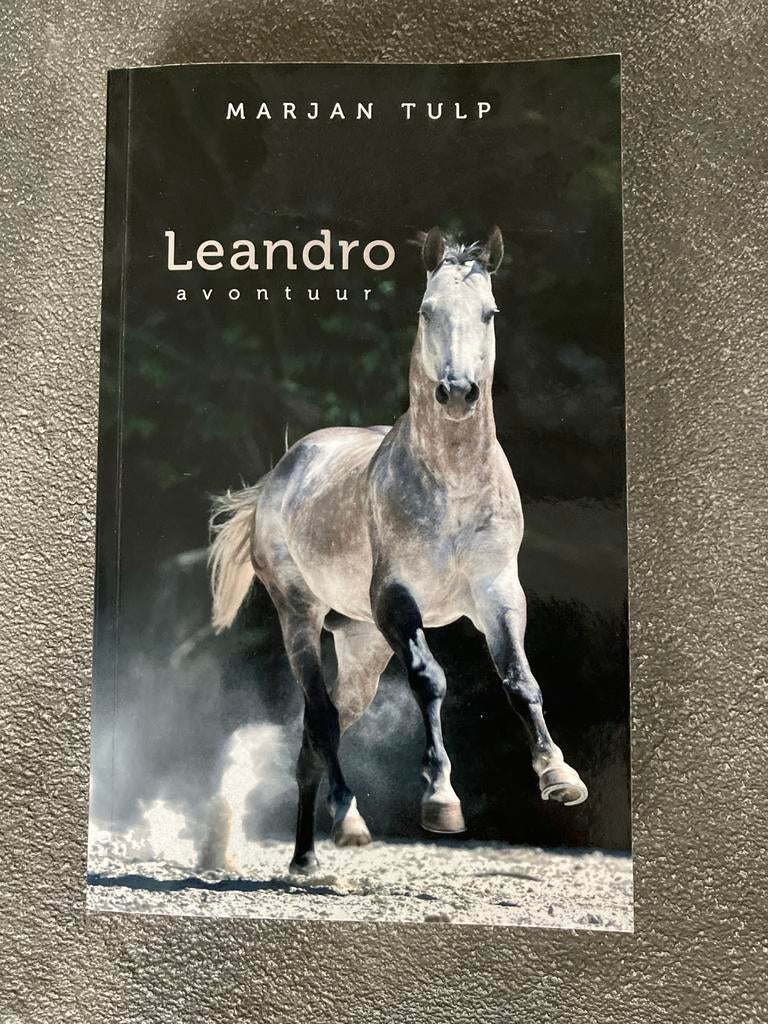Marjan Tulp - Leandro, Boeken, Avontuur en Actie, Zo goed als nieuw, Ophalen of Verzenden