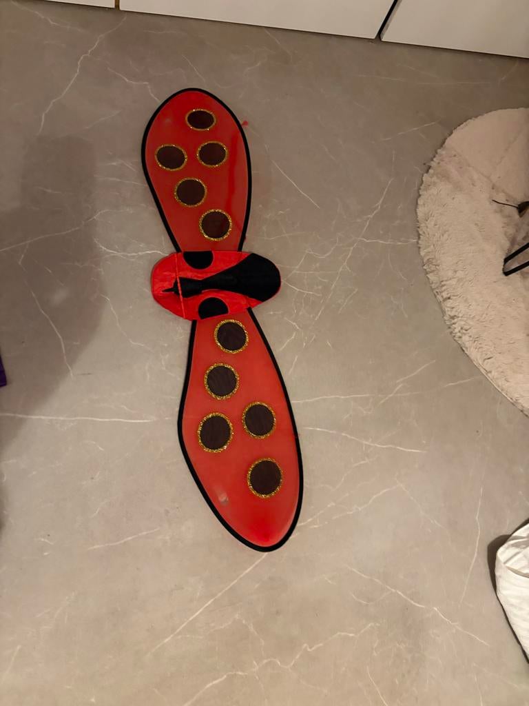 Lieveheersbeest vleugletjes en diadeem carnaval, Ophalen of Verzenden, Jongen of Meisje