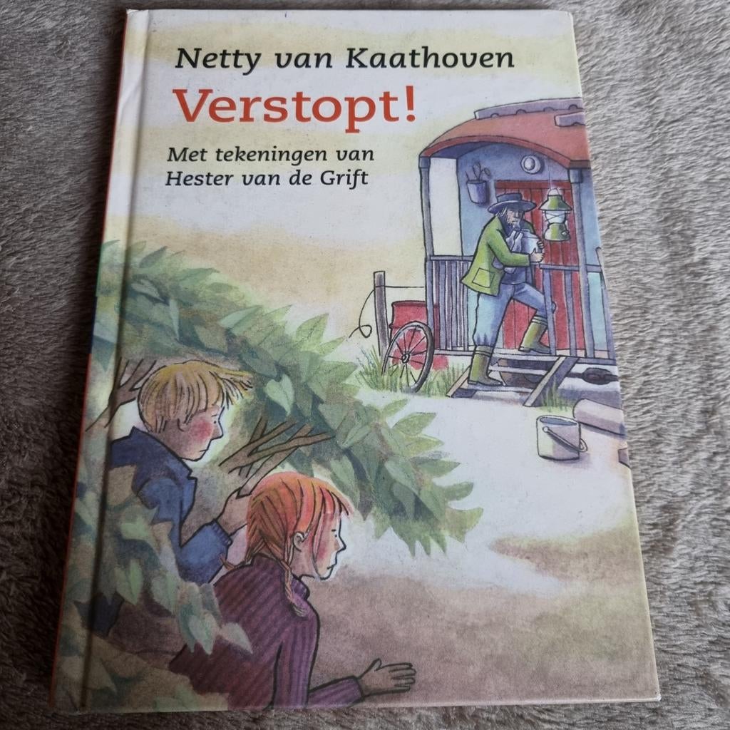 Verstopt! - Netty van Kaathoven - leesboek AVI 4, Boeken, Ophalen of Verzenden, Gelezen, Netty van Kaathoven, Fictie algemeen