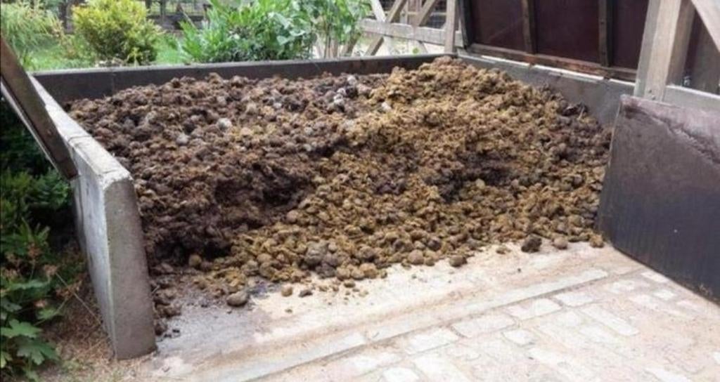 Gratis op te halen in Eerbeek: Paardenmest, Ophalen