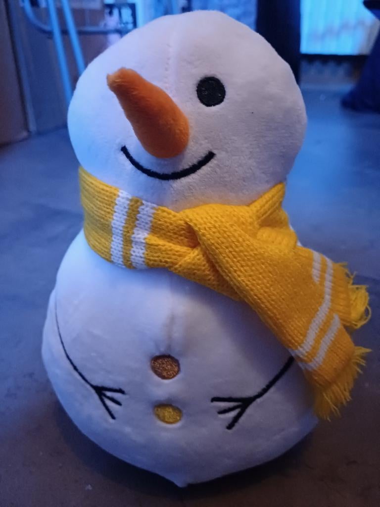 Sneeuwpop, Ophalen of Verzenden, Zo goed als nieuw, Overige typen