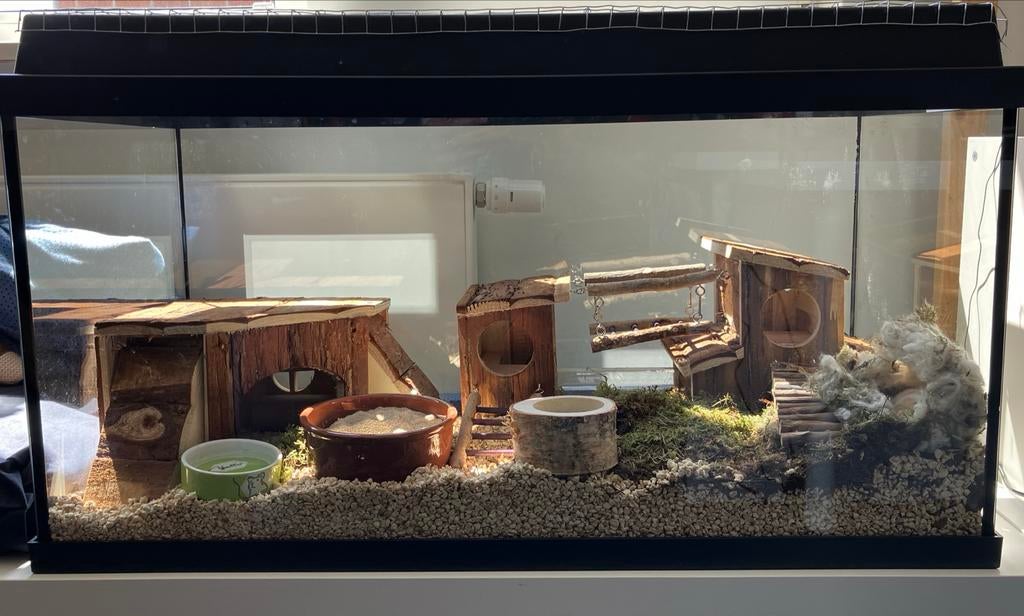 Hamsterverblijf, Dieren en Toebehoren, Ophalen, Zo goed als nieuw