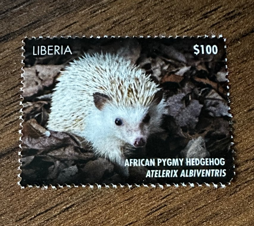 Liberia 2015 Egel Dieren Postfris, Ophalen of Verzenden, Overige landen, Postfris