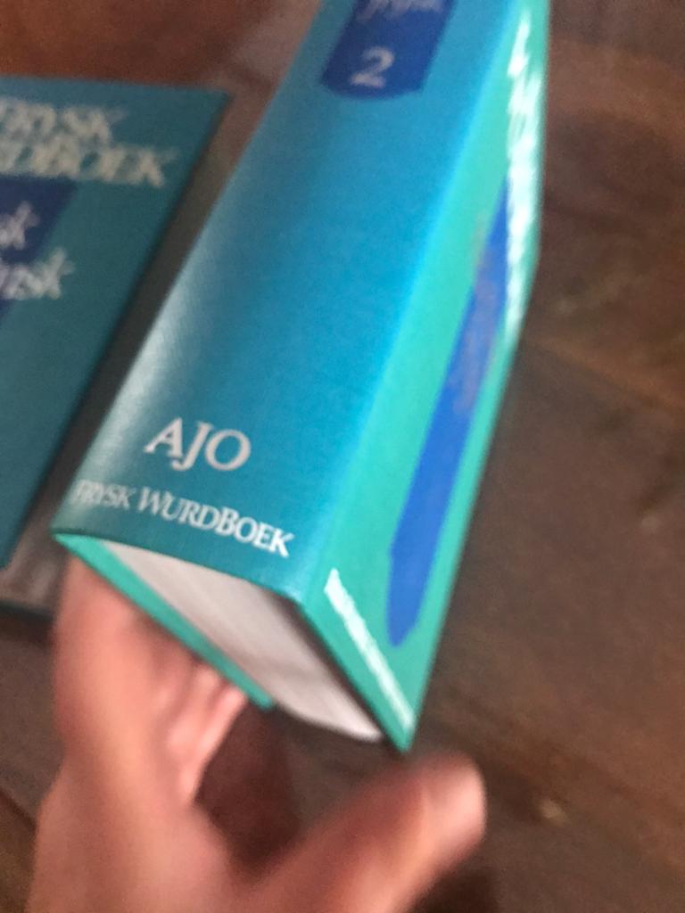 Frysk wurdboek 2 dielen, Ophalen of Verzenden, Overige uitgevers, Nederlands