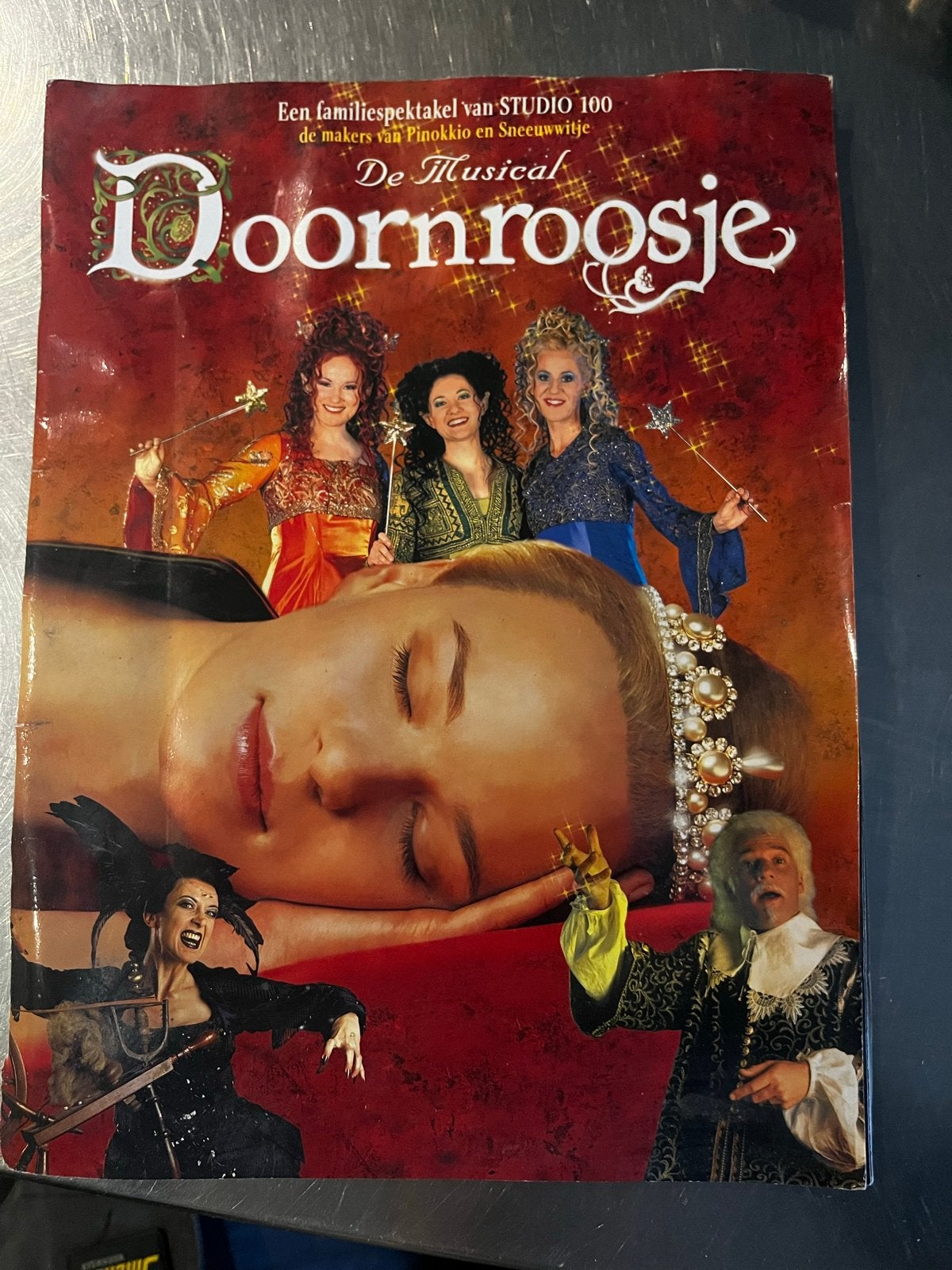 Doornroosje the musical programmaboekje 2002, Eén persoon
