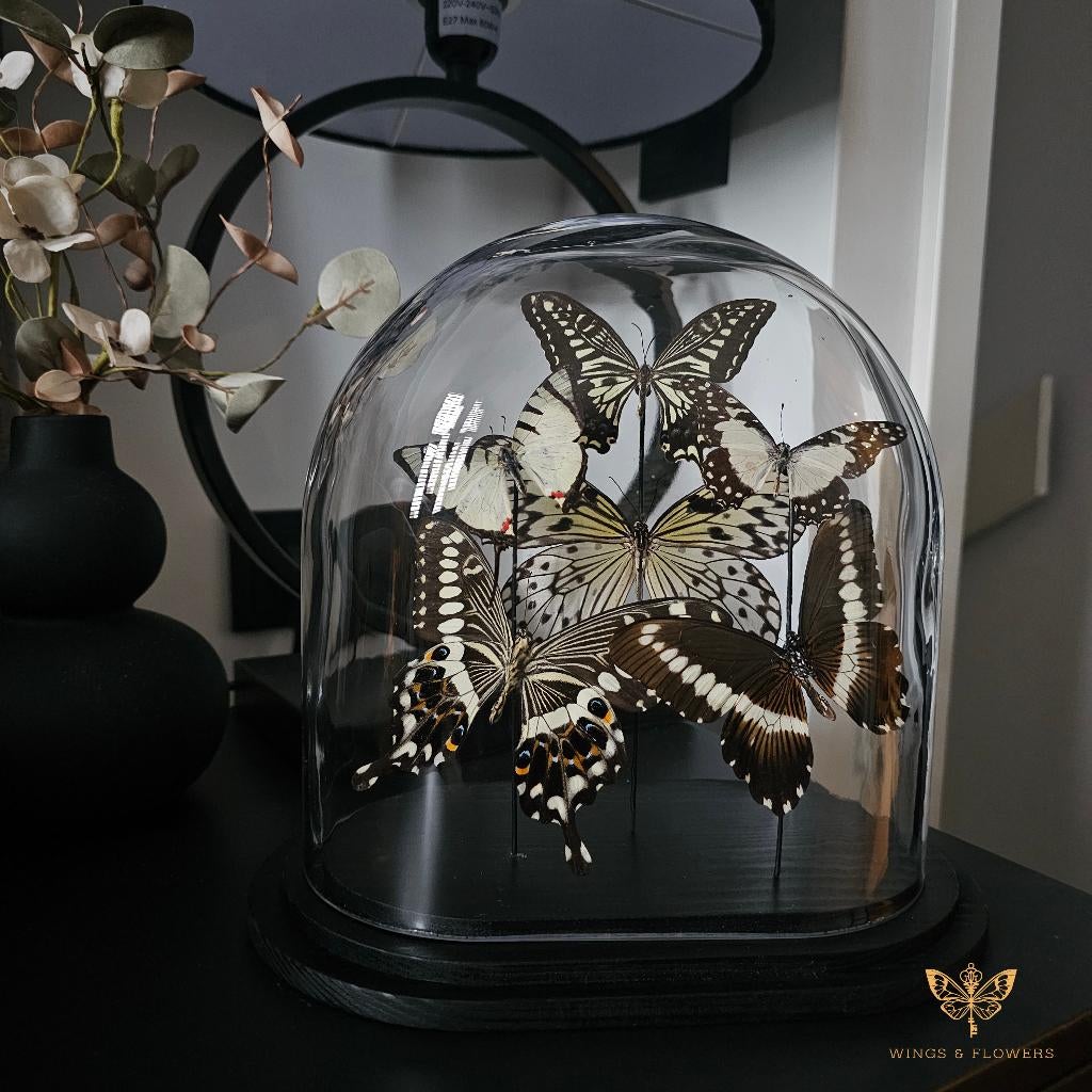 (Ovale) Vlinderstolp, Huis en Inrichting, Woonaccessoires | Stolpen, Wings & Flowers, Touwbaan 11, Lekkerkerk, Nieuw, Ophalen of Verzenden