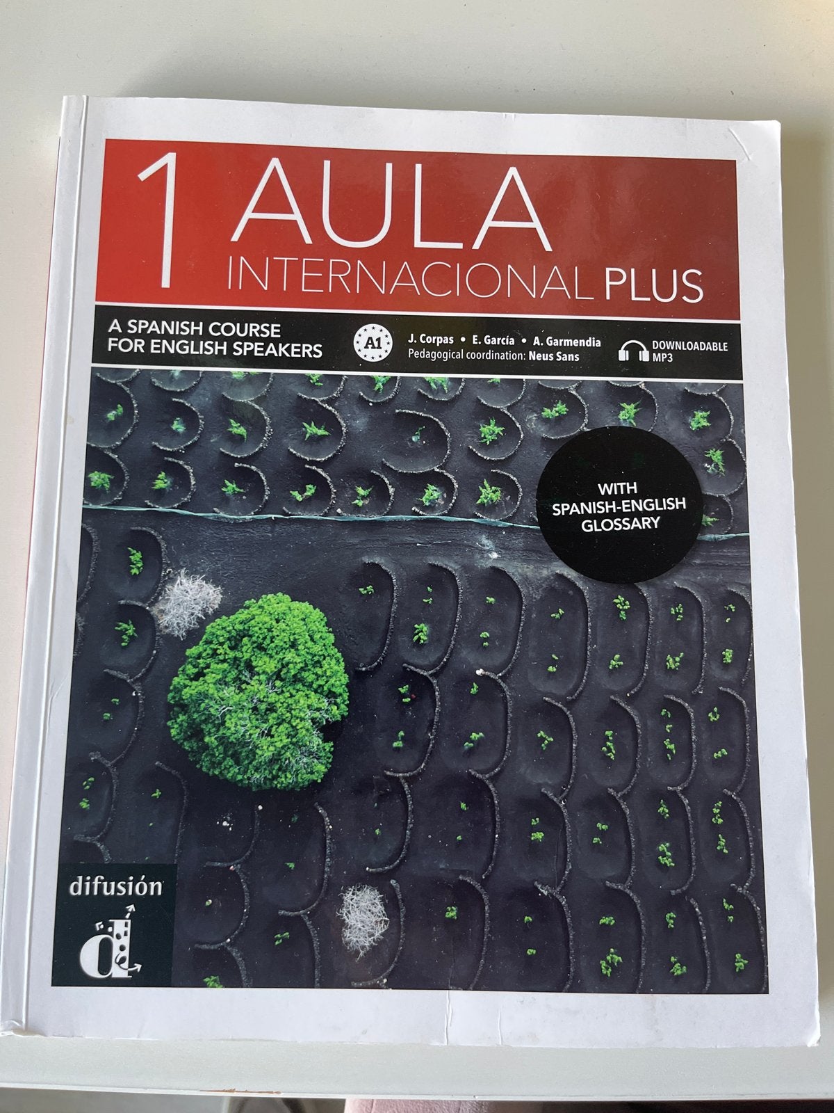 Aula Internacional Plus 1 - Spaans voor beginners, Ophalen, Zo goed als nieuw, Non-fictie