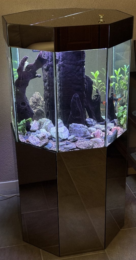 aquarium, Ophalen, Gebruikt, Overige typen, Inclusief vissen