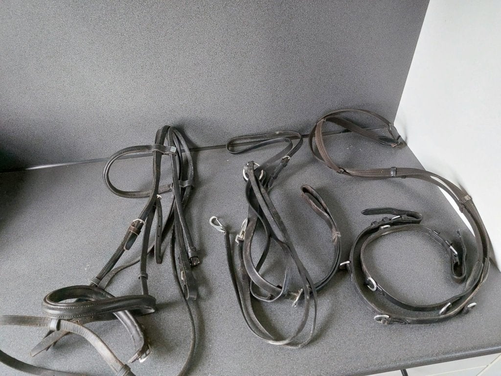 Kieffer hoofdstel met teugel en Thiedeman hulpteugel, Hoofdstel, Kieffer, Ophalen of Verzenden, Verstelbaar