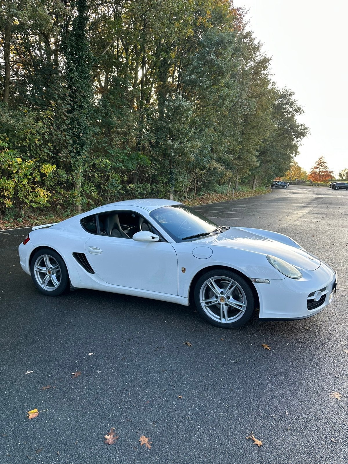 Porsche Cayman handgeschakeld 6 versnellingen met Shortshift, Auto's, Achterwielaandrijving, Zwart, 2687 cc, 245 pk
