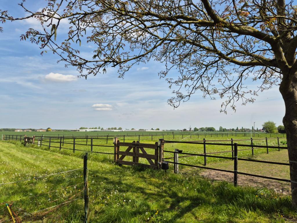 Kleinschalige privé stal krijgt plek (noord limburg), Dieren en Toebehoren, Stalling en Weidegang, Weidegang