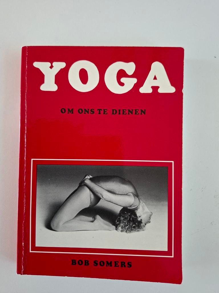 Yoga: Om Ons Te Dienen - Bob Somers (Praktisch Handboek), Boeken, Ophalen of Verzenden, Gelezen, Bob Somers