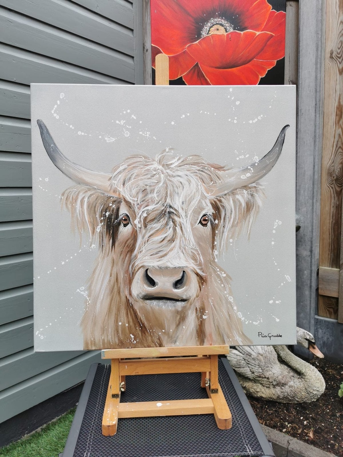 Schilderij Schotse Hooglander - Handgeschilderd, Ophalen, Acrylverf, Handgeschilderd, Dieren