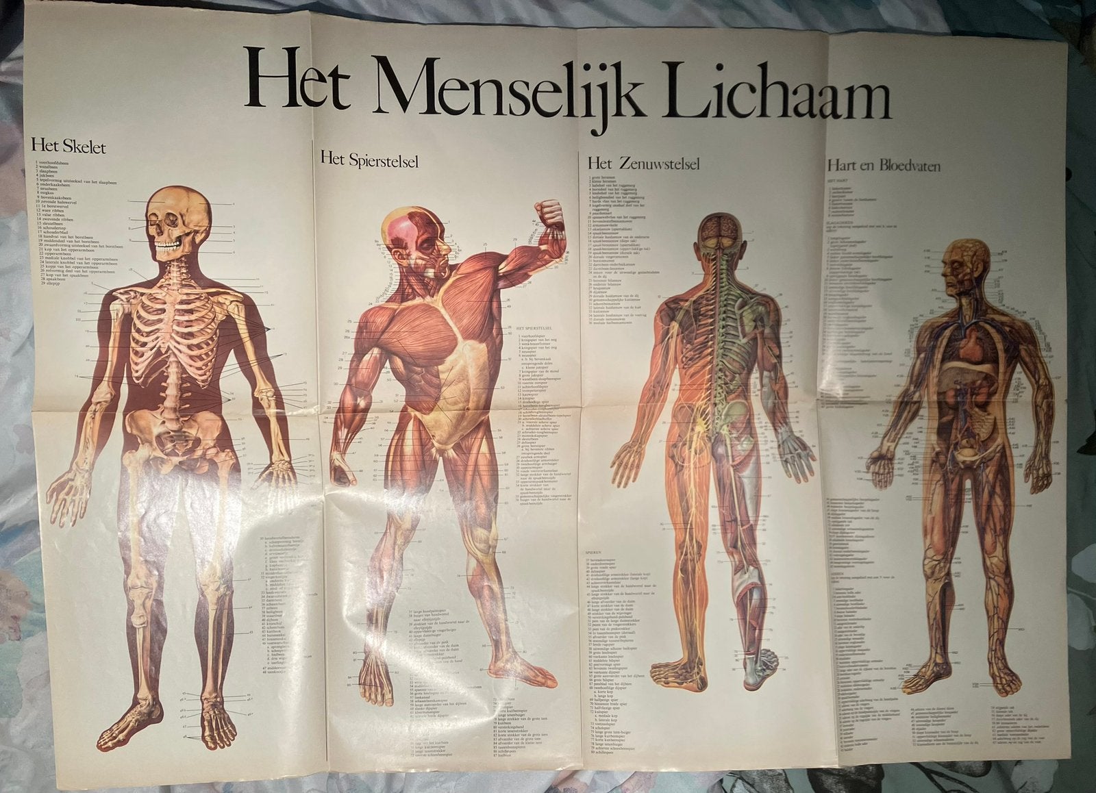 Medische encyclopedie winkler prins nooit gebruikt, Ophalen of Verzenden, Zo goed als nieuw, Medisch