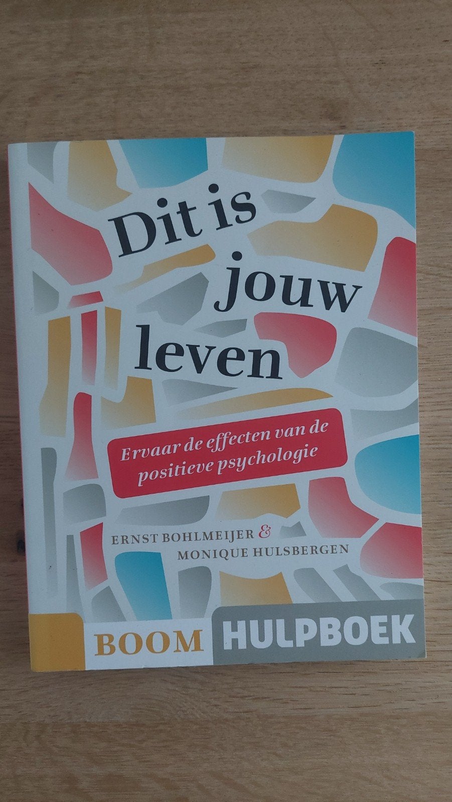 Ernst Bohlmeijer - Dit is jouw leven, Sociale psychologie, Nieuw, Ophalen of Verzenden, Ernst Bohlmeijer; Monique Hulsbergen