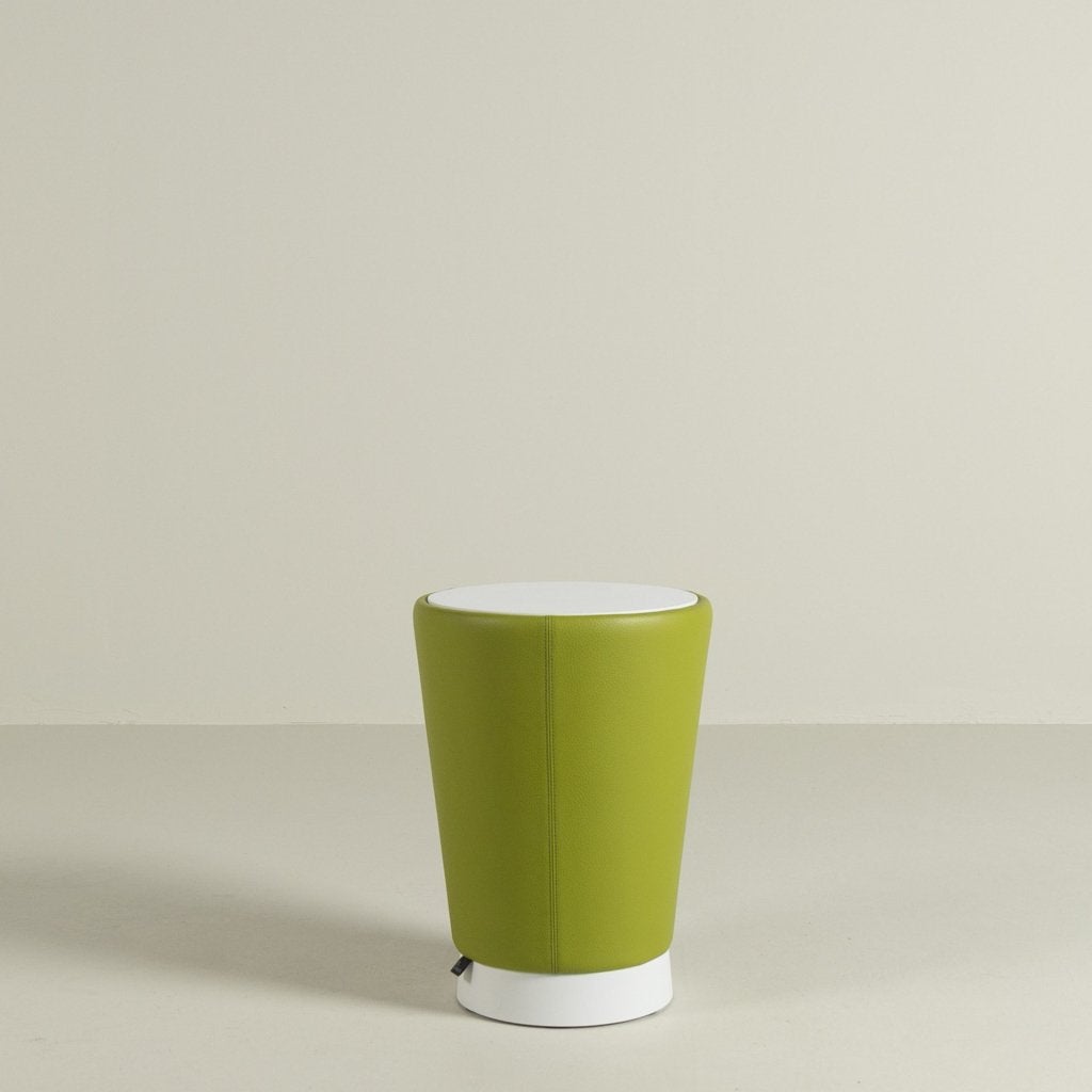 Leolux Barillo Bijzettafel Groen Leer