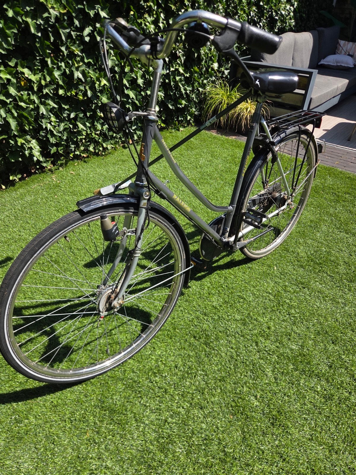 Raleigh damesfiets, Velgrem, Versnellingen, Ophalen, Overige merken