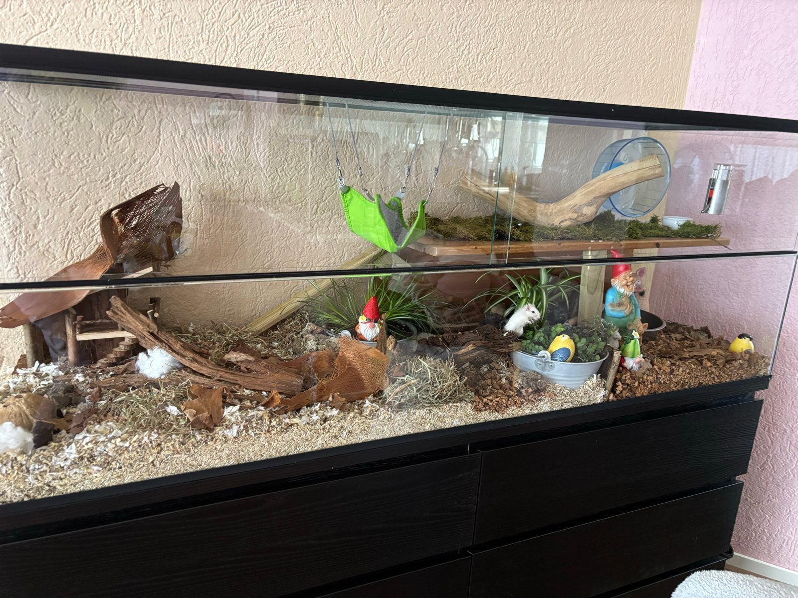 Foto 3 van Groot Terrarium
