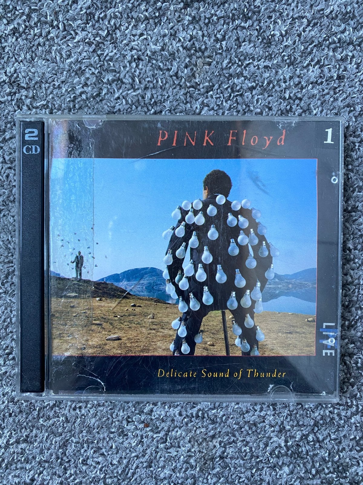 Pink Floyd - Delicate Sound of Thunder (2CD Live), Ophalen, Rock, Gebruikt, Live-album