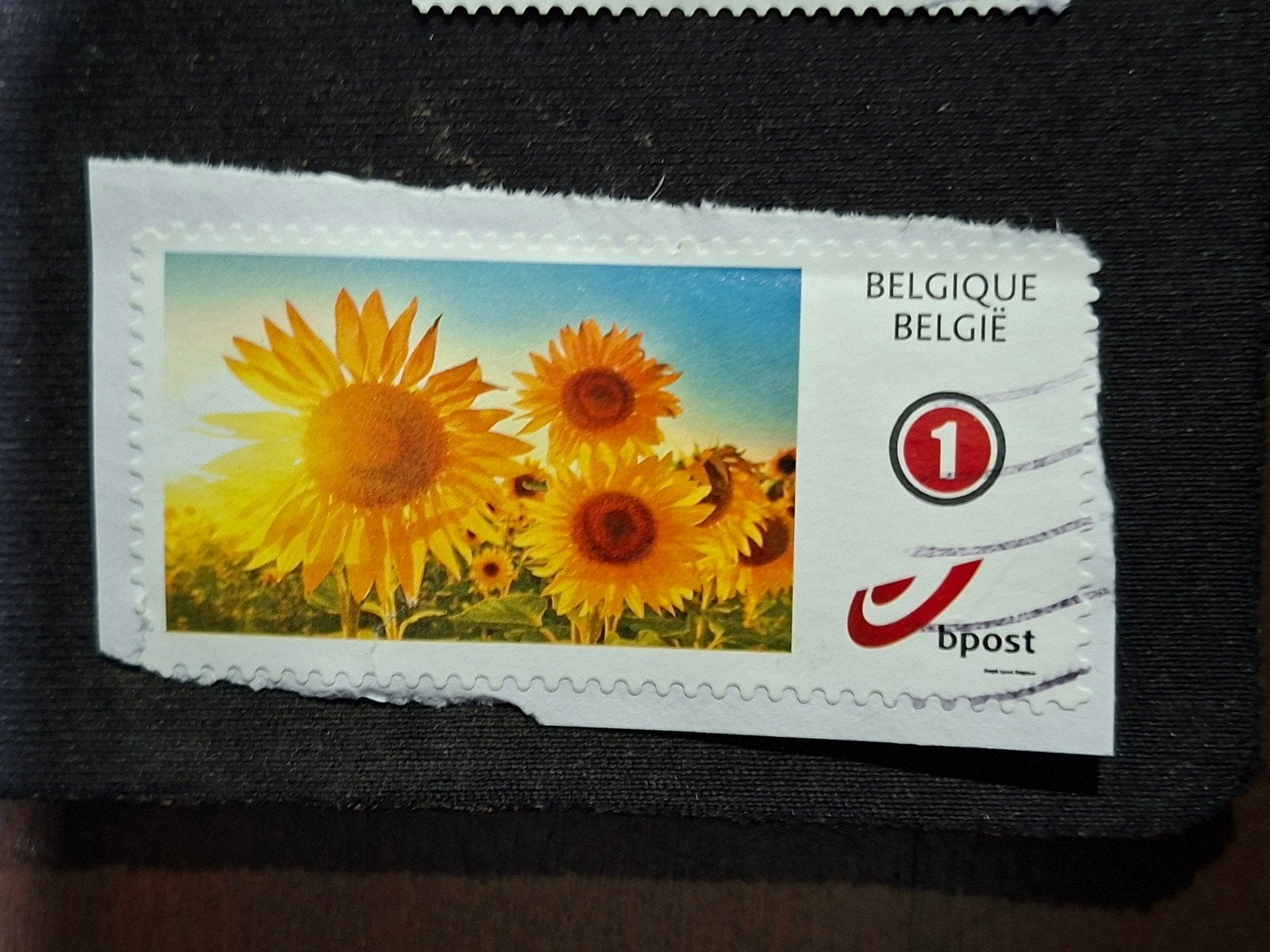 België, Ophalen of Verzenden, Gestempeld