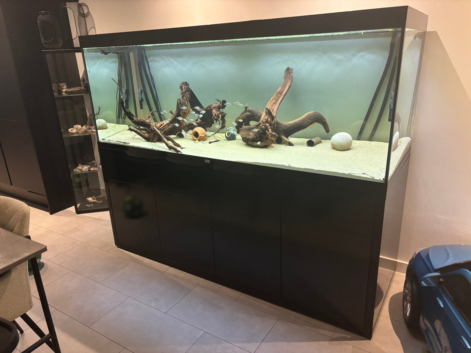 Aquatlantis SUBLIME 200x70 Ultra, Dieren en Toebehoren, Ophalen, Inclusief deksel, Aquatlantis, Gevuld zoetwateraquarium