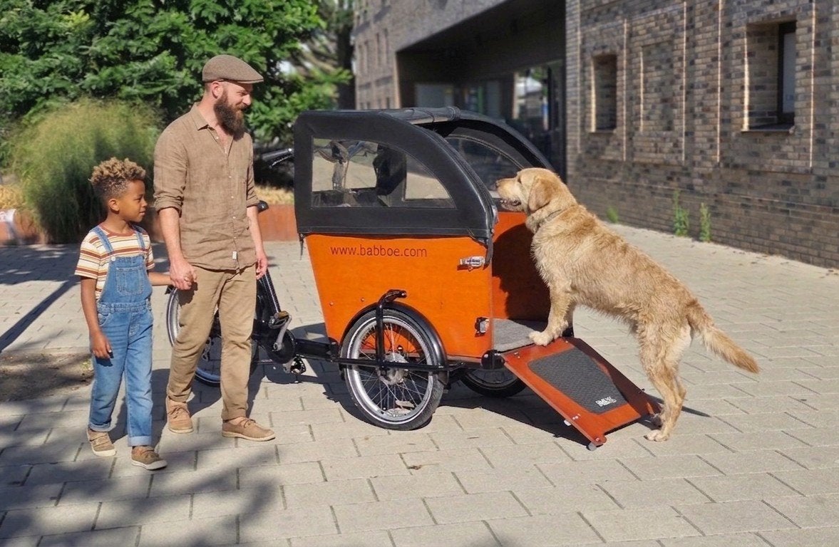 Elektrische Babboe Dog Bakfiets met Regentent - Topstaat!, Overige merken, Goederen, Huif, Ophalen of Verzenden