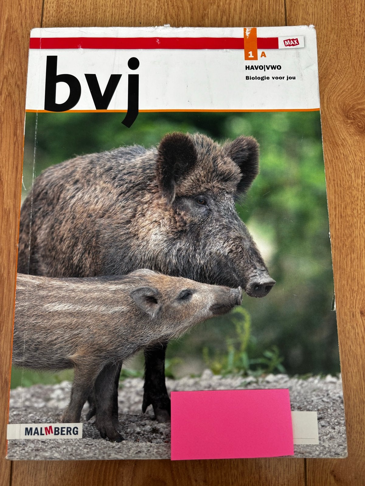 Biologie voor jou 1A en 1B HAVO/VWO - Malmberg, Boeken, Verzenden, Zo goed als nieuw, HAVO, Biologie