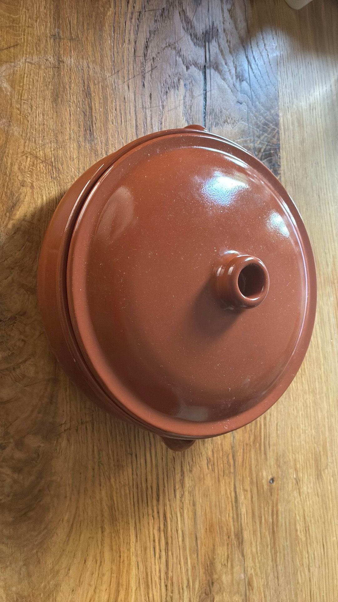 Regas terracoto pan 23cm, Ophalen of Verzenden, Zo goed als nieuw, Steen/keramiek, Overige merken