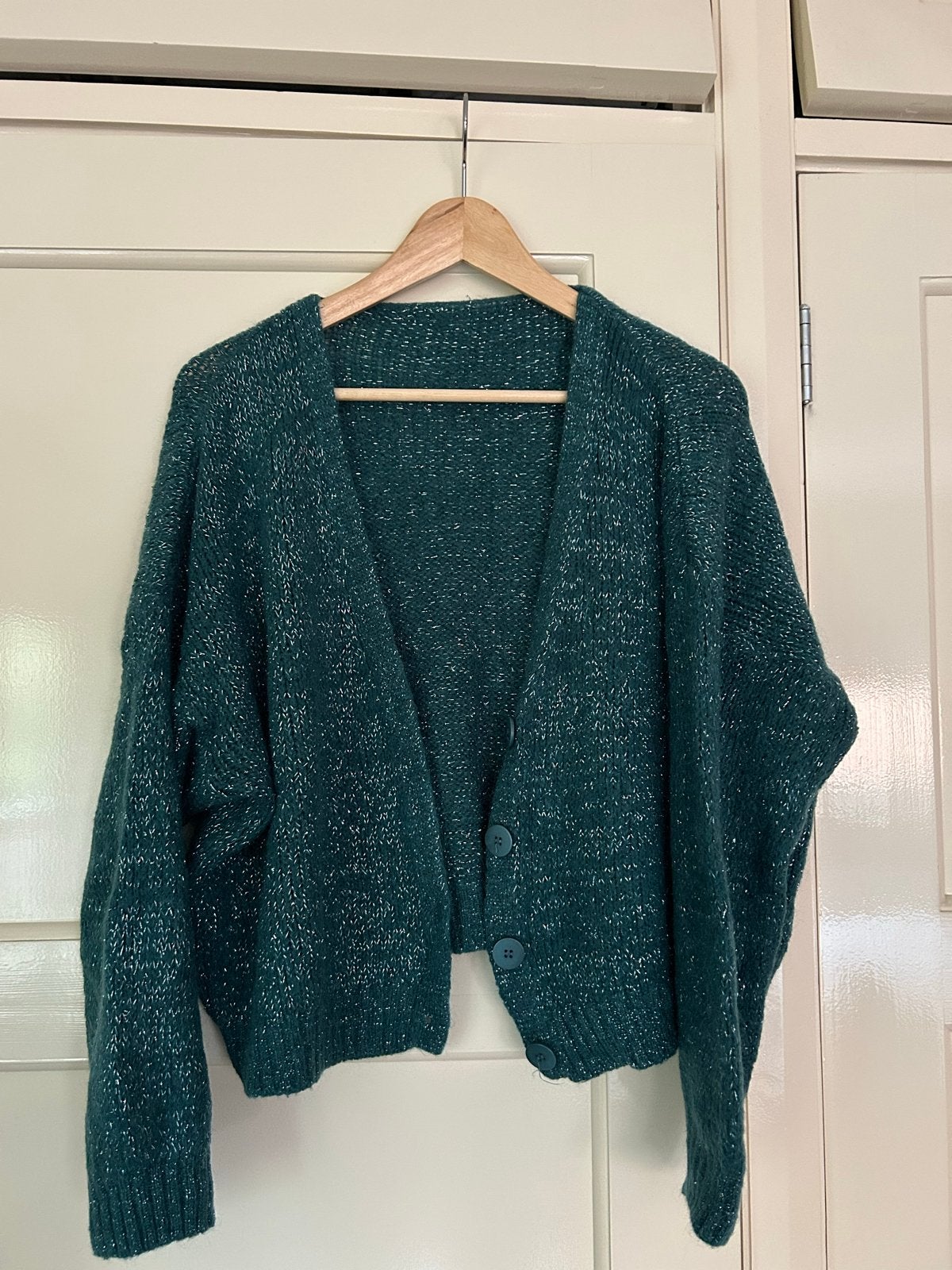 Groen vest met glitterdraad, Ophalen of Verzenden, Gedragen, Maat 38/40 (M), Groen