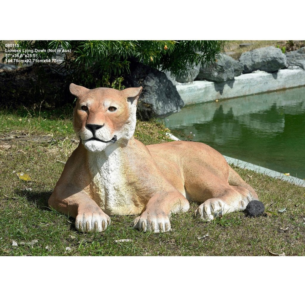 Lioness Lying Down – Leeuw beeld Lengte 145 cm, Ophalen, Nieuw, Overige typen