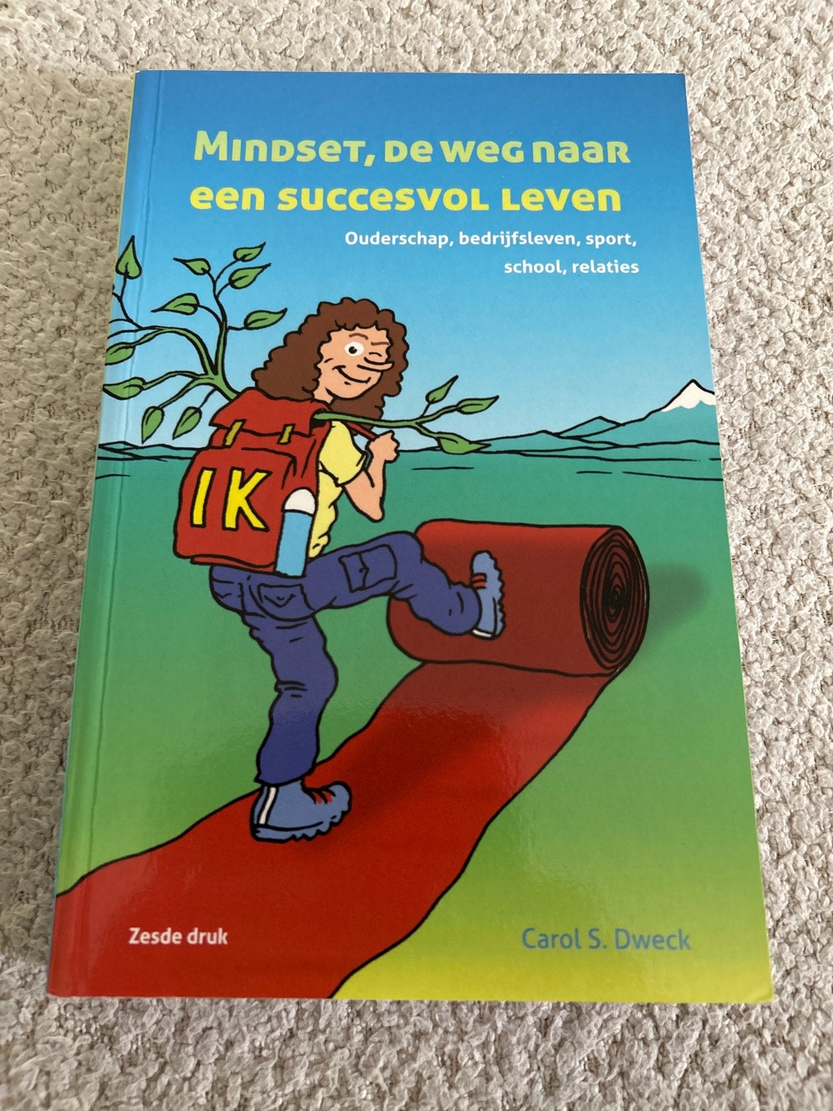 Mindset: De weg naar een succesvol leven - Carol S. Dweck, Verzenden, Gelezen