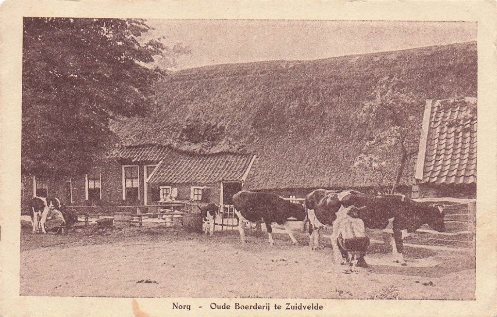 702-341-019 Norg Oude Boerderij Te Zuidvelde, Verzenden, Voor 1920, Drenthe